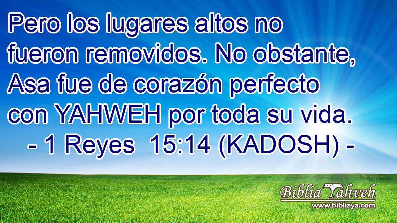  Pero los lugares altos no fueron removidos. No obstante, Asa fue de corazón perfecto con YAHWEH por toda su vida. 