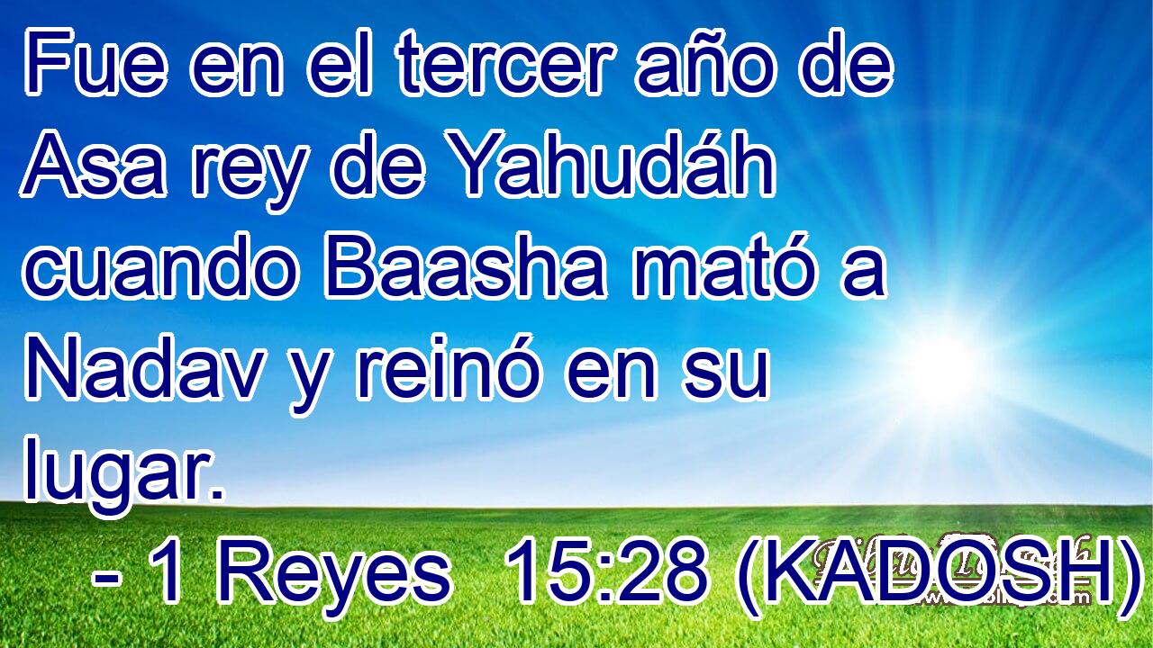  Fue en el tercer año de Asa rey de Yahudáh cuando Baasha mató a Nadav y reinó en su lugar. 