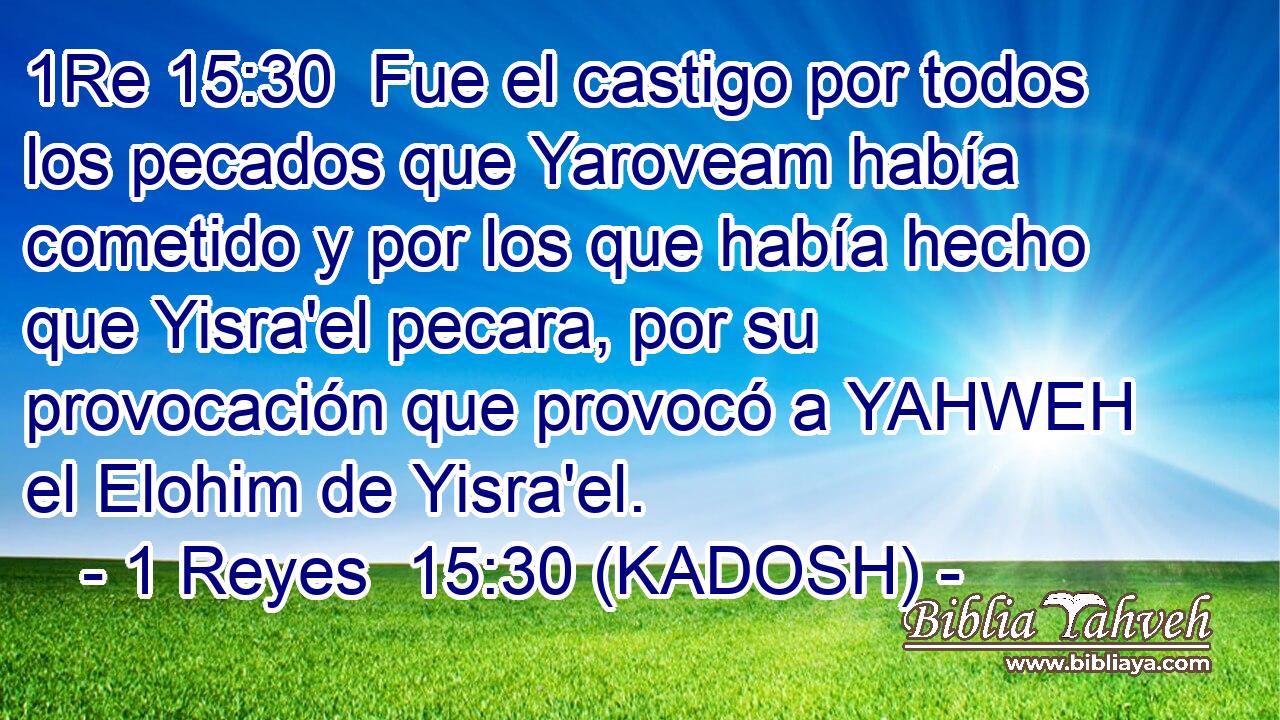  Fue el castigo por todos los pecados que Yaroveam había cometido y por los que había hecho que Yisra'el pecara, por su provocación que provocó a YAHWEH el Elohim de Yisra'el. 