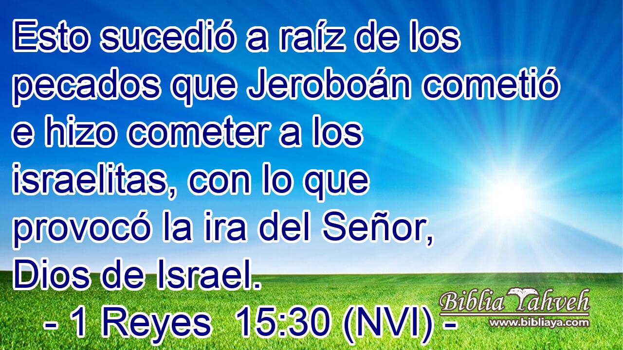  Esto sucedió a raíz de los pecados que Jeroboán cometió e hizo cometer a los israelitas, con lo que provocó la ira del Señor, Dios de Israel. 