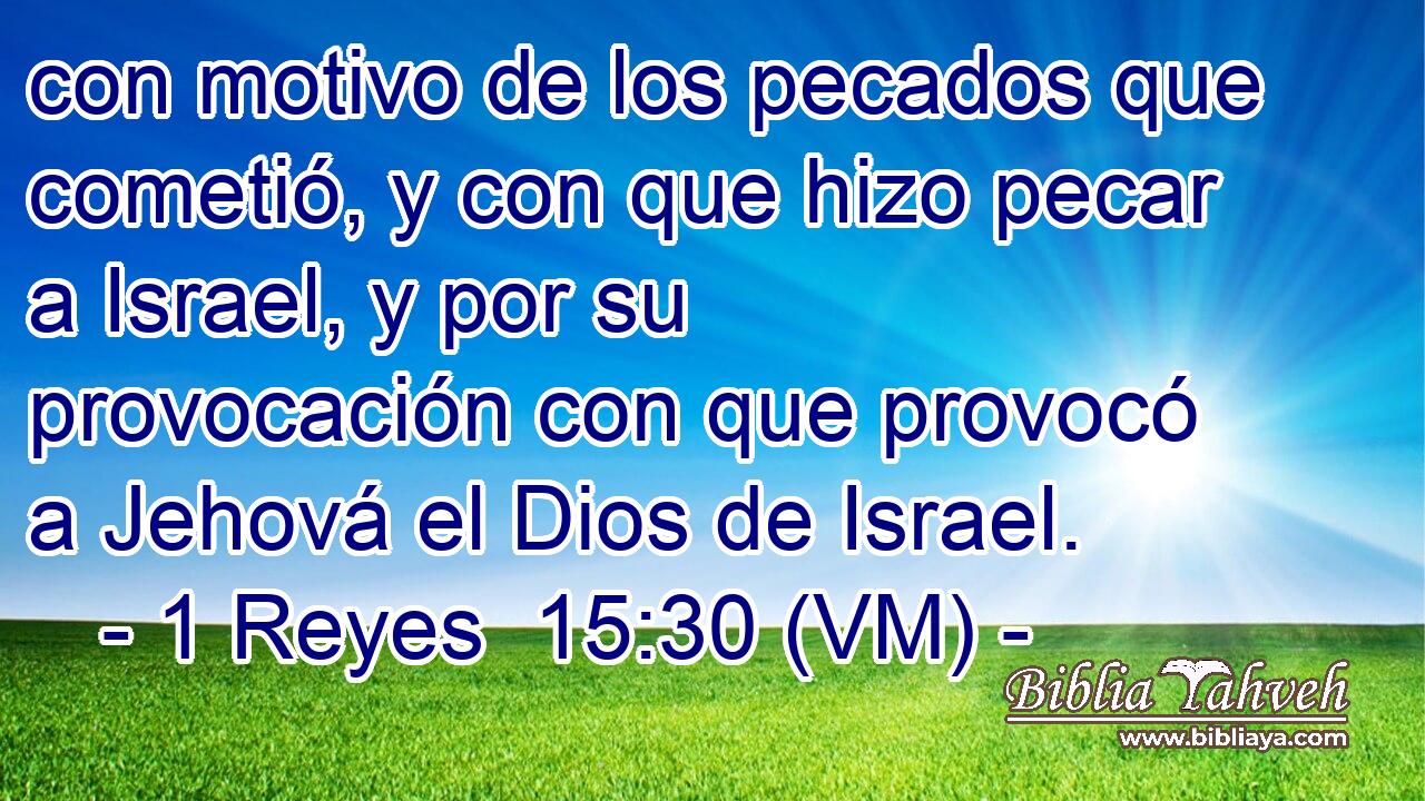  con motivo de los pecados que cometió, y con que hizo pecar a Israel, y por su provocación con que provocó a Jehová el Dios de Israel. 