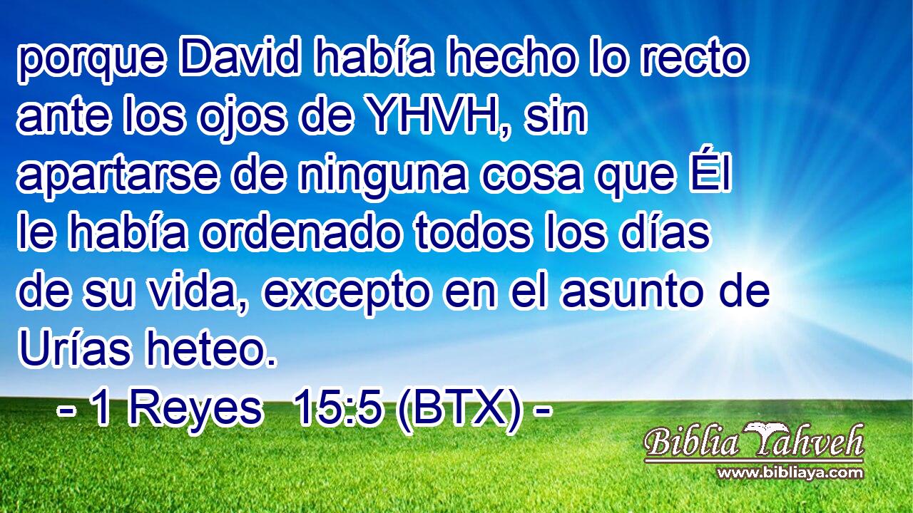 porque David había hecho lo recto ante los ojos de YHVH, sin apartarse de ninguna cosa que Él le había ordenado todos los días de su vida, excepto en el asunto de Urías heteo.