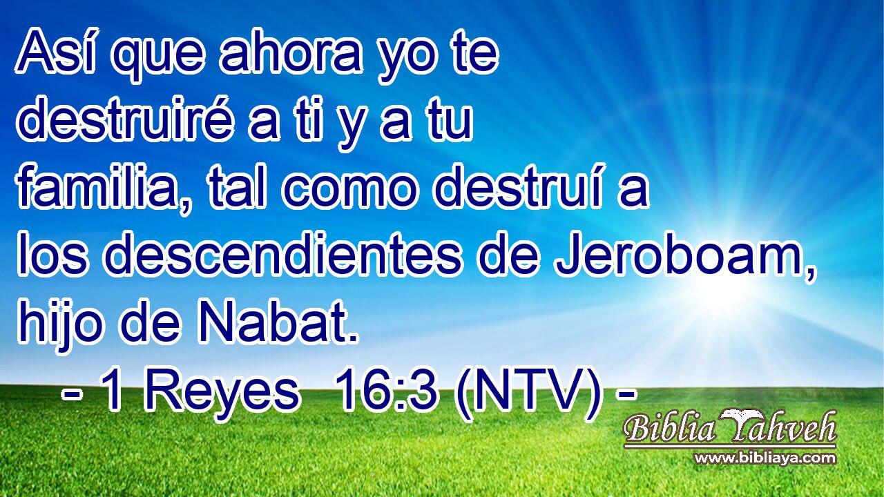Así que ahora yo te destruiré a ti y a tu familia, tal como destruí a los descendientes de Jeroboam, hijo de Nabat.