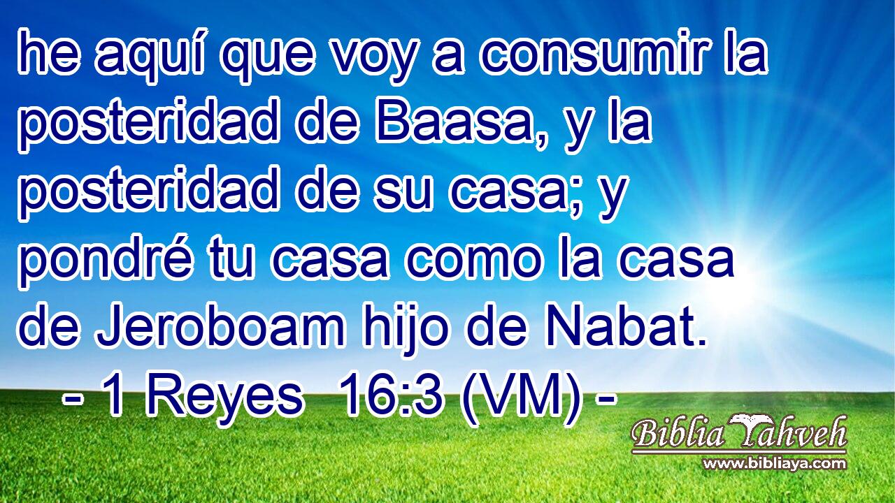 he aquí que voy a consumir la posteridad de Baasa, y la posteridad de su casa; y pondré tu casa como la casa de Jeroboam hijo de Nabat. 