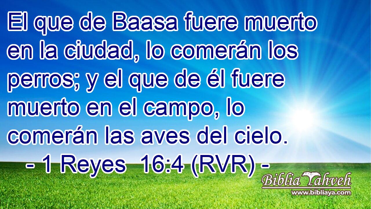 El que de Baasa fuere muerto en la ciudad, lo comerán los perros; y el que de él fuere muerto en el campo, lo comerán las aves del cielo.