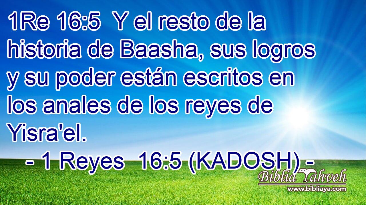  Y el resto de la historia de Baasha, sus logros y su poder están escritos en los anales de los reyes de Yisra'el. 