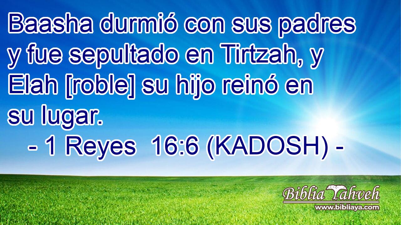 Baasha durmió con sus padres y fue sepultado en Tirtzah, y Elah [roble] su hijo reinó en su lugar. 