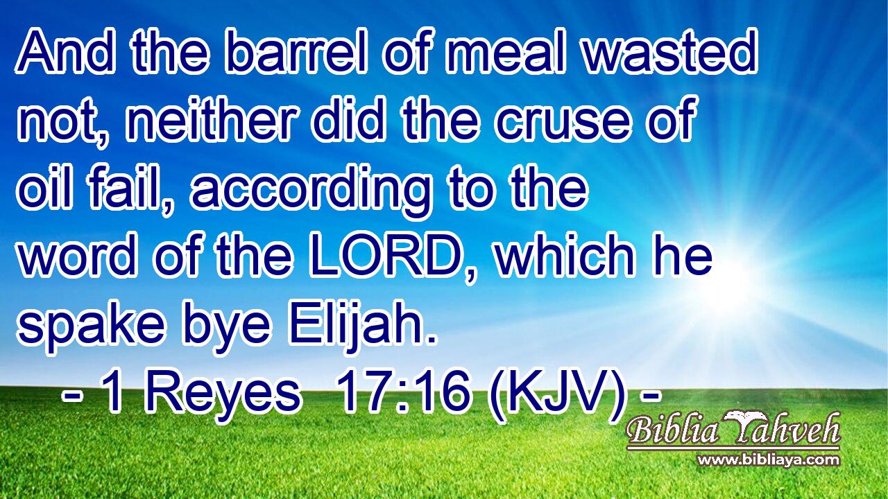 And the barrel of meal wasted not, neither did the cruse of oil fail, according to the word of the LORD, which he spake bye Elijah.