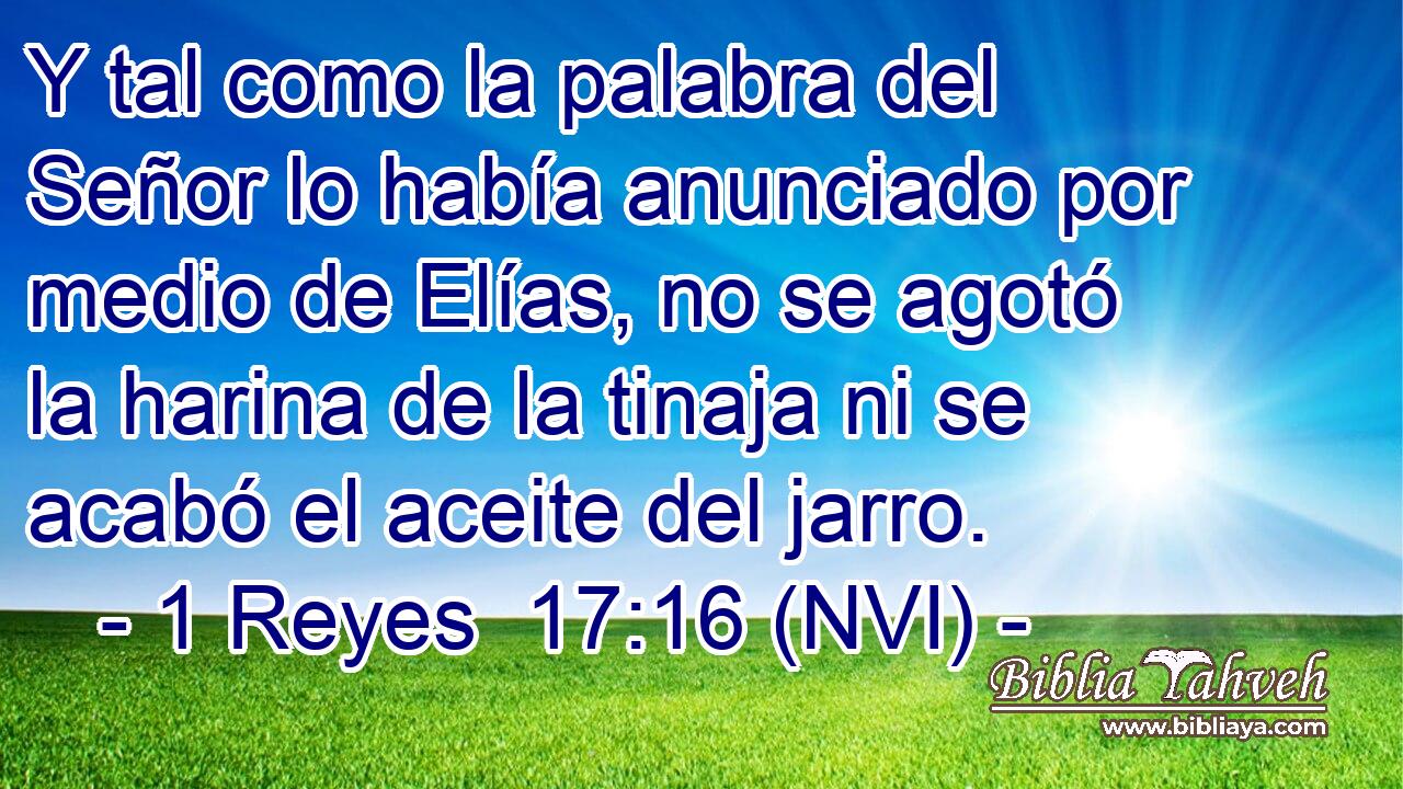  Y tal como la palabra del Señor lo había anunciado por medio de Elías, no se agotó la harina de la tinaja ni se acabó el aceite del jarro. 