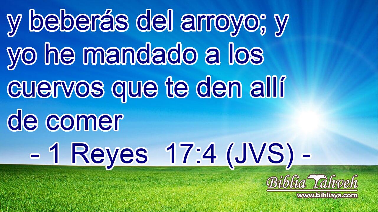 y beberás del arroyo; y yo he mandado a los cuervos que te den allí de comer