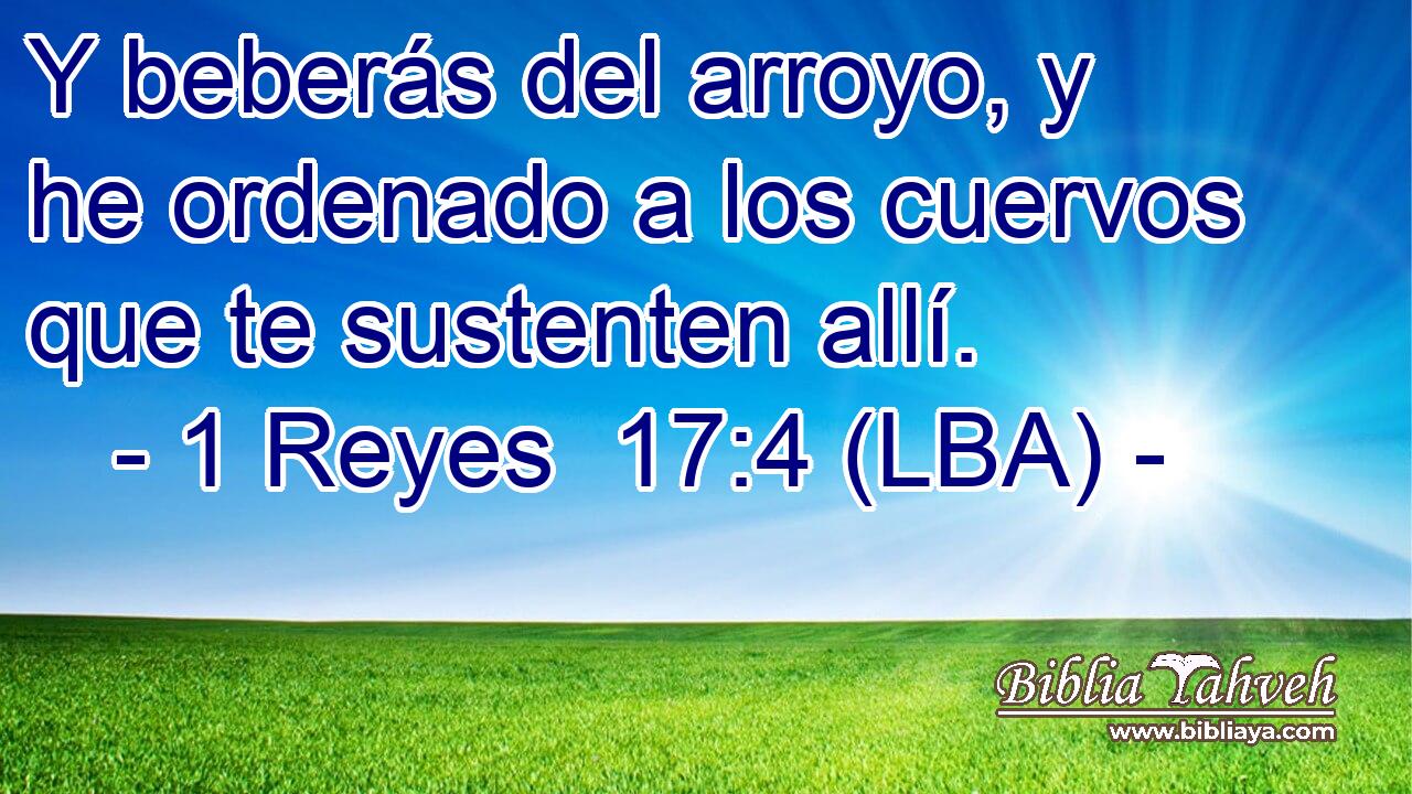 Y beberás del arroyo, y he ordenado a los cuervos que te sustenten allí.