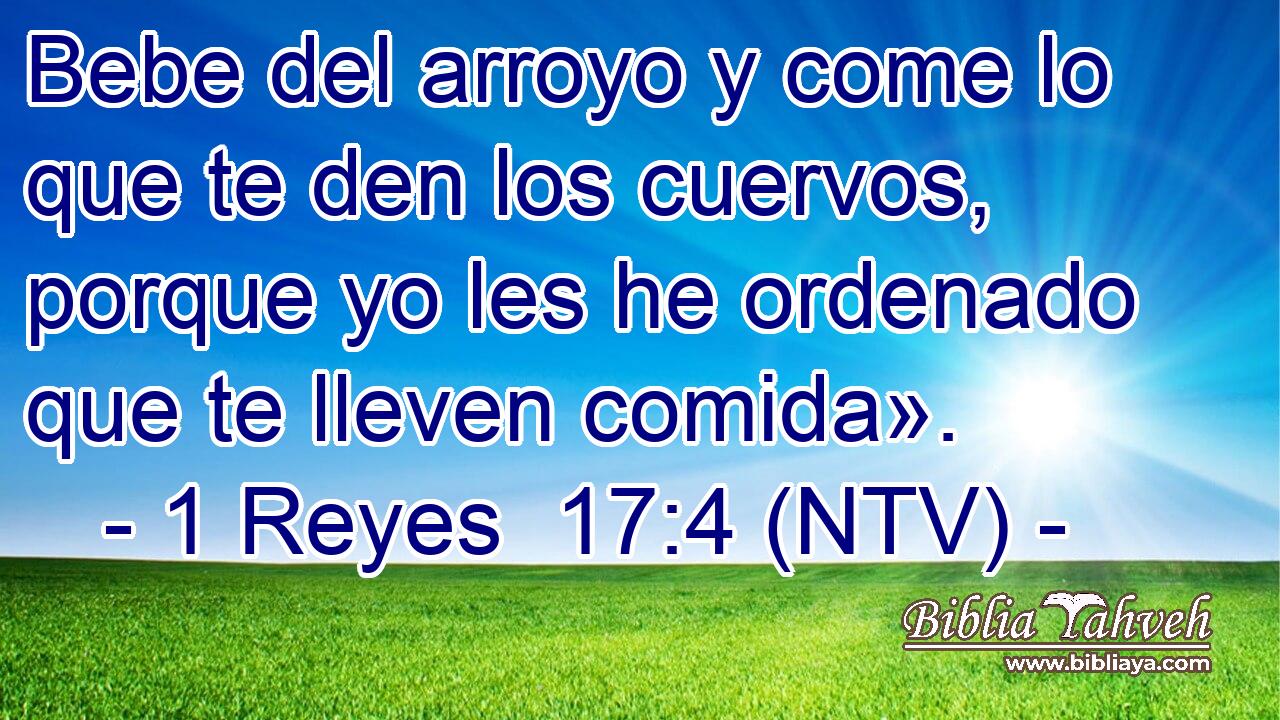 Bebe del arroyo y come lo que te den los cuervos, porque yo les he ordenado que te lleven comida».