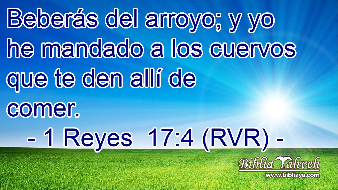 Beberás del arroyo; y yo he mandado a los cuervos que te den allí de comer.