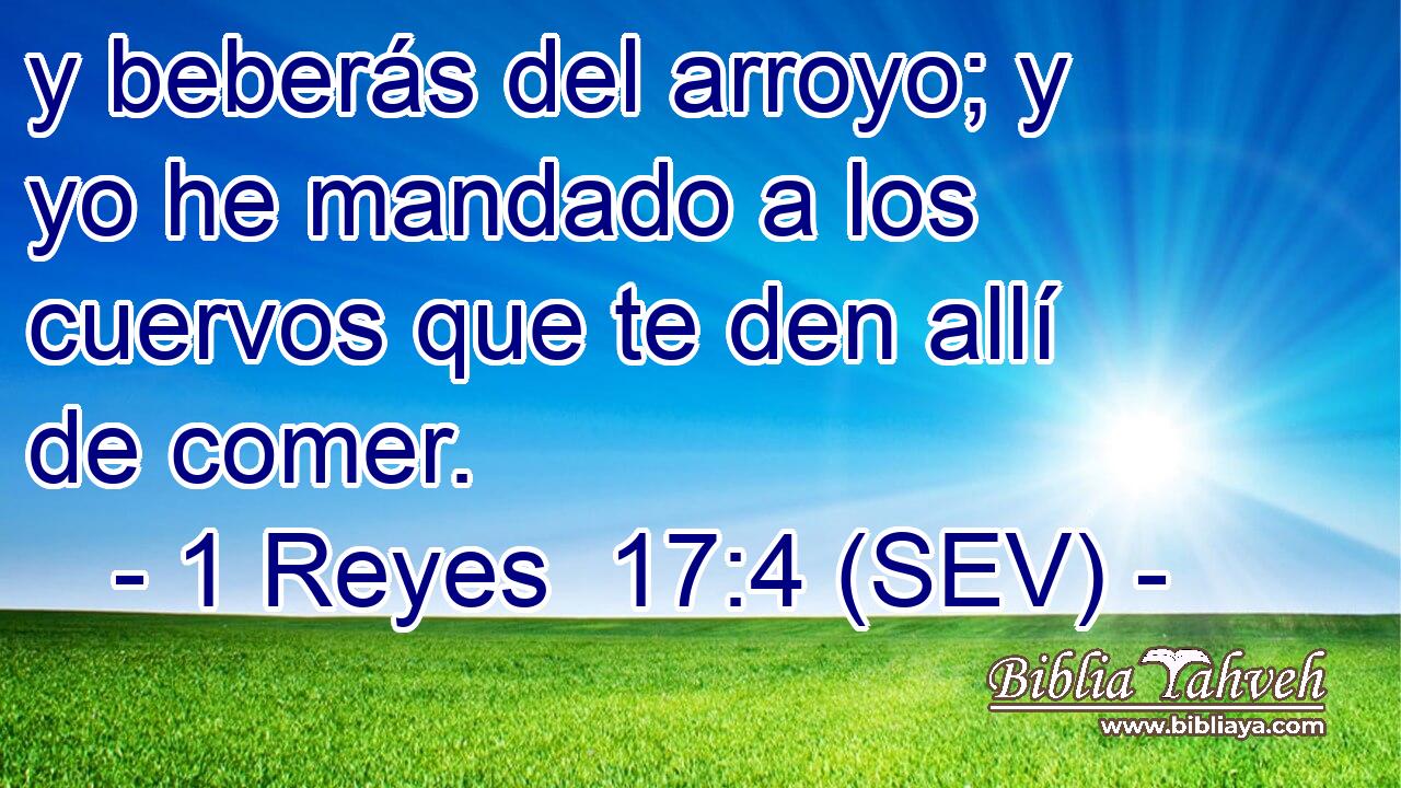 y beberás del arroyo; y yo he mandado a los cuervos que te den allí de comer.