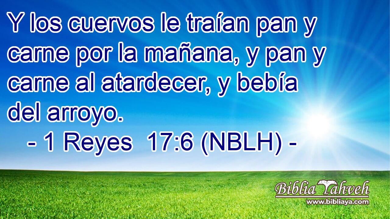  Y los cuervos le traían pan y carne por la mañana, y pan y carne al atardecer, y bebía del arroyo. 