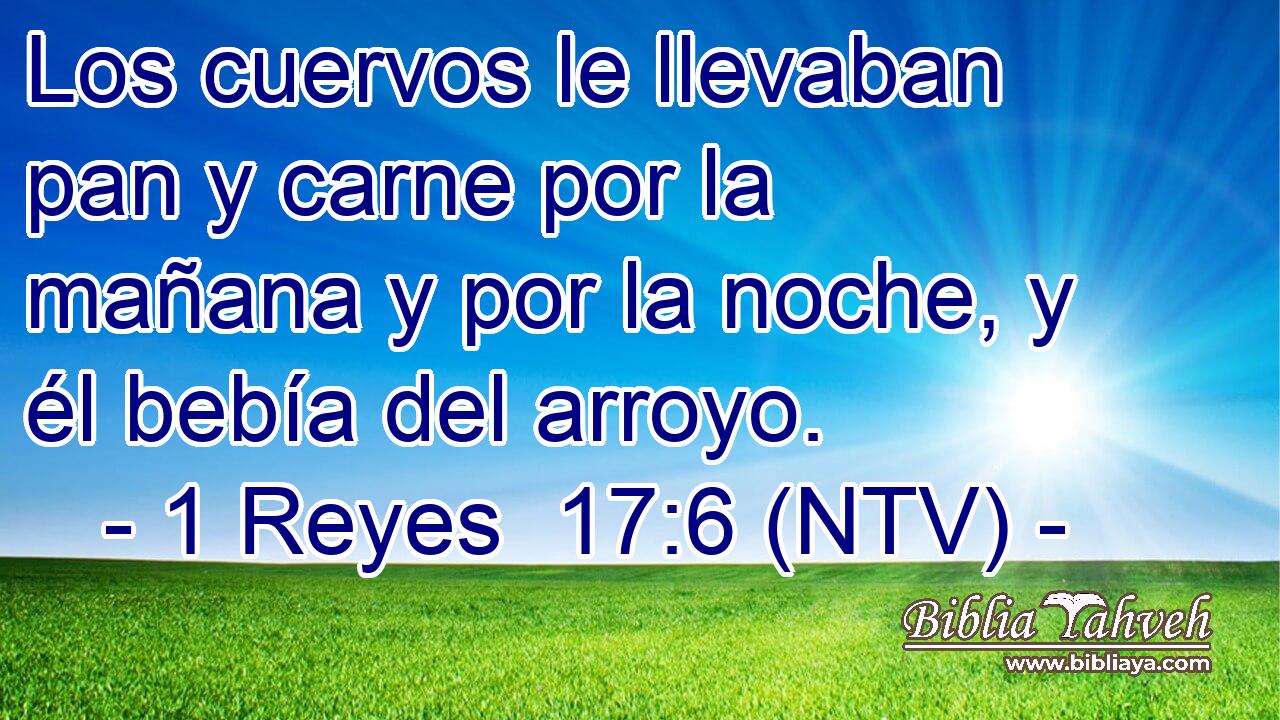 Los cuervos le llevaban pan y carne por la mañana y por la noche, y él bebía del arroyo.