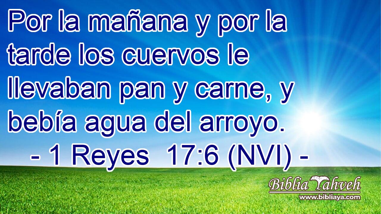  Por la mañana y por la tarde los cuervos le llevaban pan y carne, y bebía agua del arroyo. 