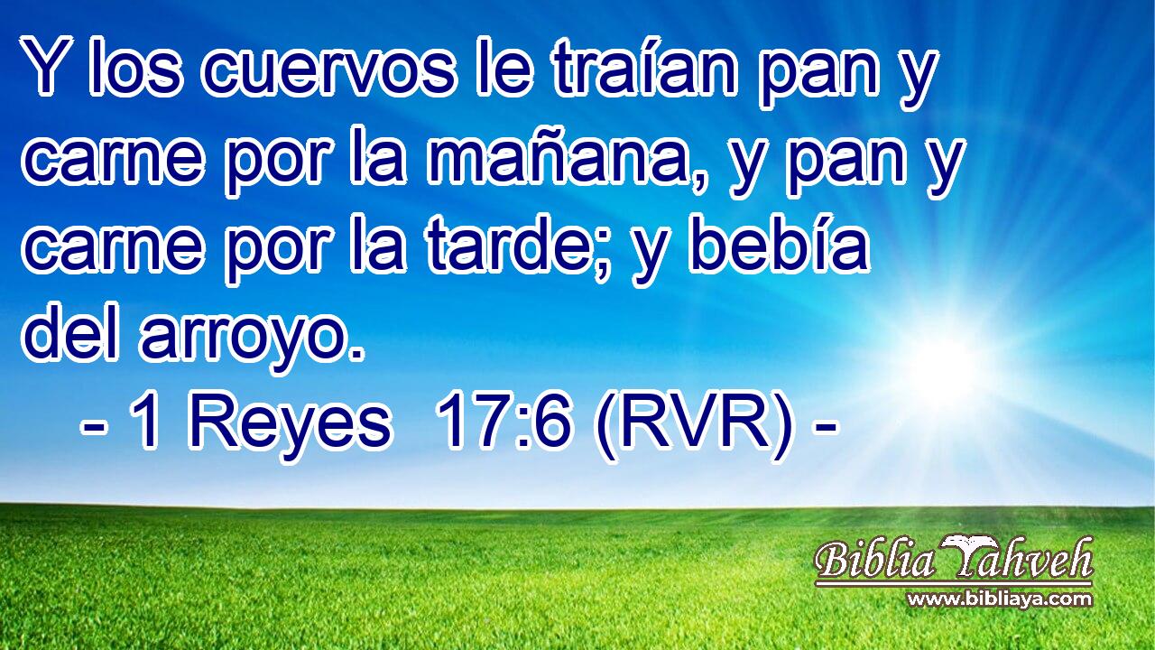 Y los cuervos le traían pan y carne por la mañana, y pan y carne por la tarde; y bebía del arroyo.