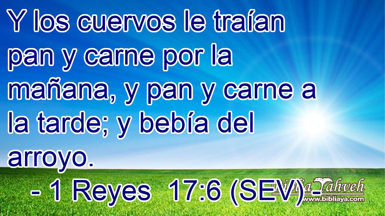 Y los cuervos le traían pan y carne por la mañana, y pan y carne a la tarde; y bebía del arroyo.