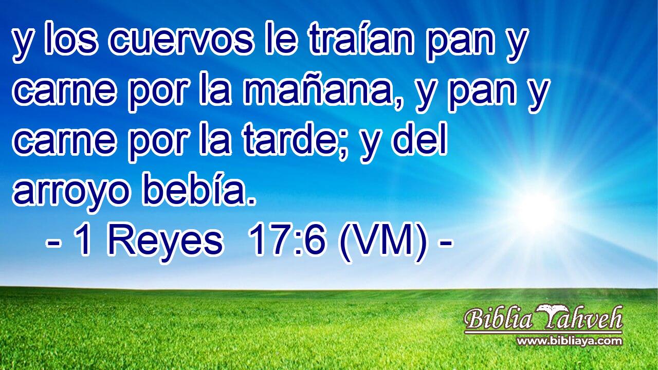  y los cuervos le traían pan y carne por la mañana, y pan y carne por la tarde; y del arroyo bebía. 
