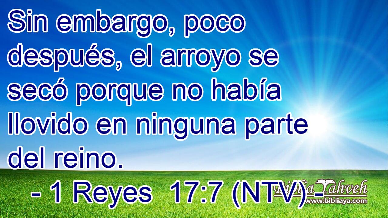 Sin embargo, poco después, el arroyo se secó porque no había llovido en ninguna parte del reino.