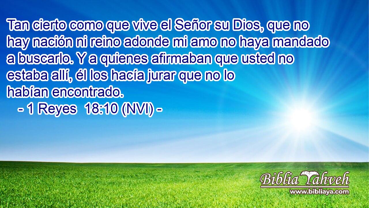  Tan cierto como que vive el Señor su Dios, que no hay nación ni reino adonde mi amo no haya mandado a buscarlo. Y a quienes afirmaban que usted no estaba allí, él los hacía jurar que no lo habían encontrado. 
