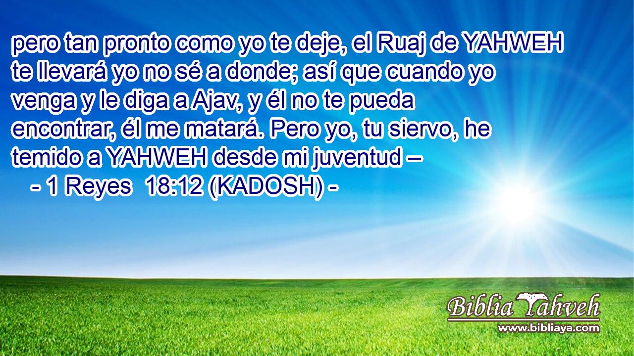  pero tan pronto como yo te deje, el Ruaj de YAHWEH te llevará yo no sé a donde; así que cuando yo venga y le diga a Ajav, y él no te pueda encontrar, él me matará. Pero yo, tu siervo, he temido a YAHWEH desde mi juventud – 