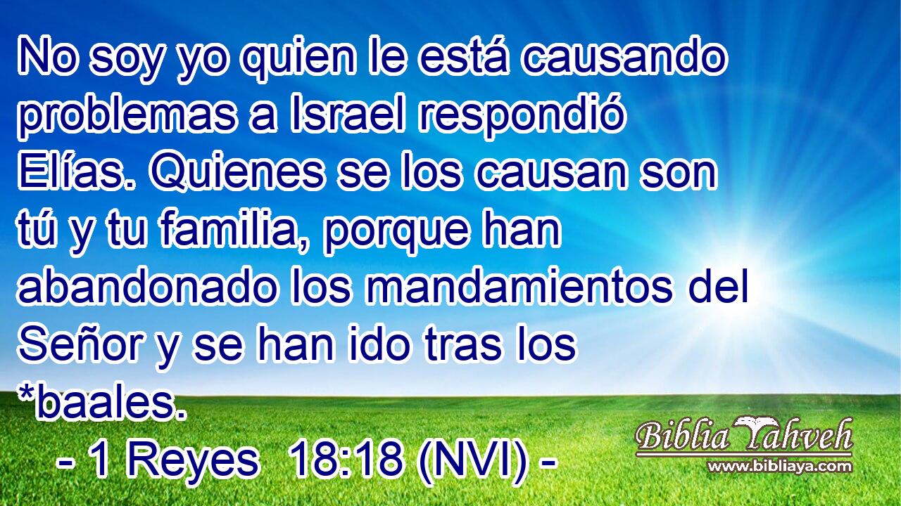  No soy yo quien le está causando problemas a Israel respondió Elías. Quienes se los causan son tú y tu familia, porque han abandonado los mandamientos del Señor y se han ido tras los *baales. 