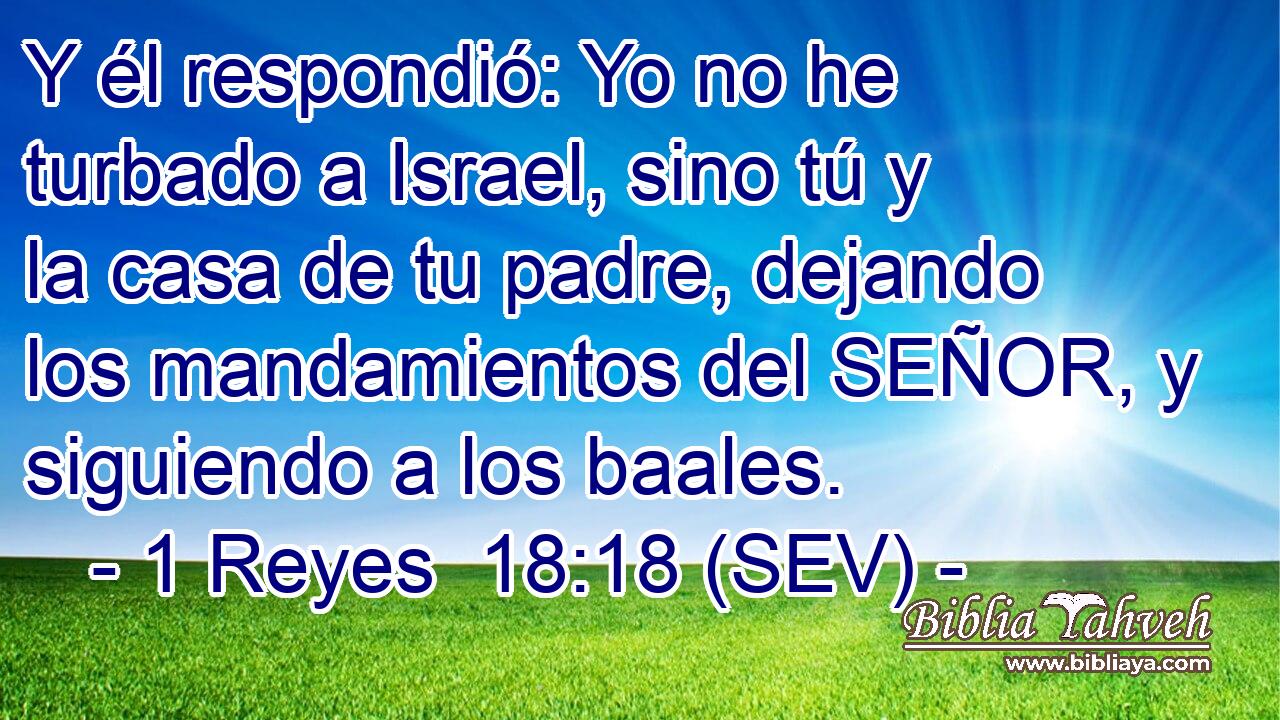Y él respondió: Yo no he turbado a Israel, sino tú y la casa de tu padre, dejando los mandamientos del SEÑOR, y siguiendo a los baales.
