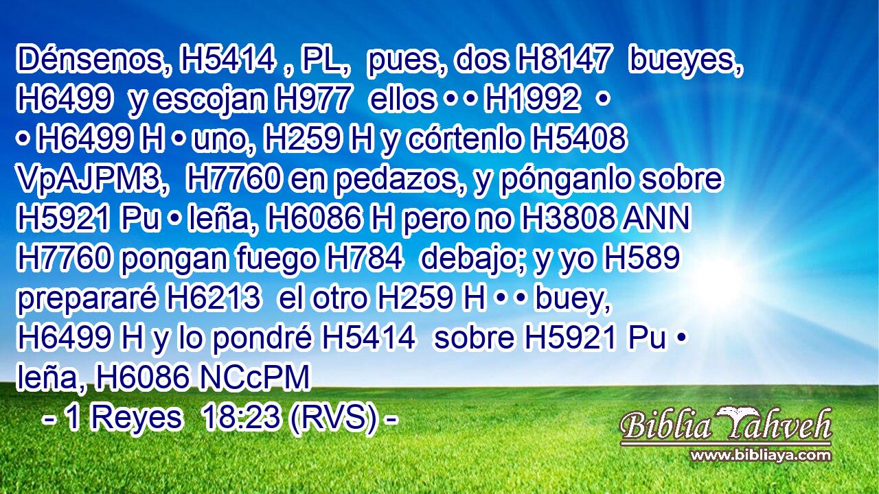 Dénsenos, H5414 , PL,  pues, dos H8147  bueyes, H6499  y escojan H977  ellos • • H1992  • • H6499 H • uno, H259 H y córtenlo H5408 VpAJPM3,  H7760 en pedazos, y pónganlo sobre H5921 Pu • leña, H6086 H pero no H3808 ANN H7760 pongan fuego H784  debajo; y yo H589  prepararé H6213  el otro H259 H • • buey, H6499 H y lo pondré H5414  sobre H5921 Pu • leña, H6086 NCcPM
