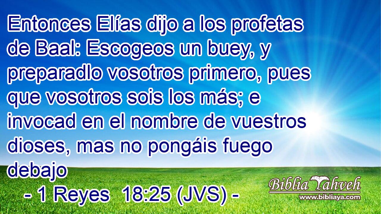 Entonces Elías dijo a los profetas de Baal: Escogeos un buey, y preparadlo vosotros primero, pues que vosotros sois los más; e invocad en el nombre de vuestros dioses, mas no pongáis fuego debajo