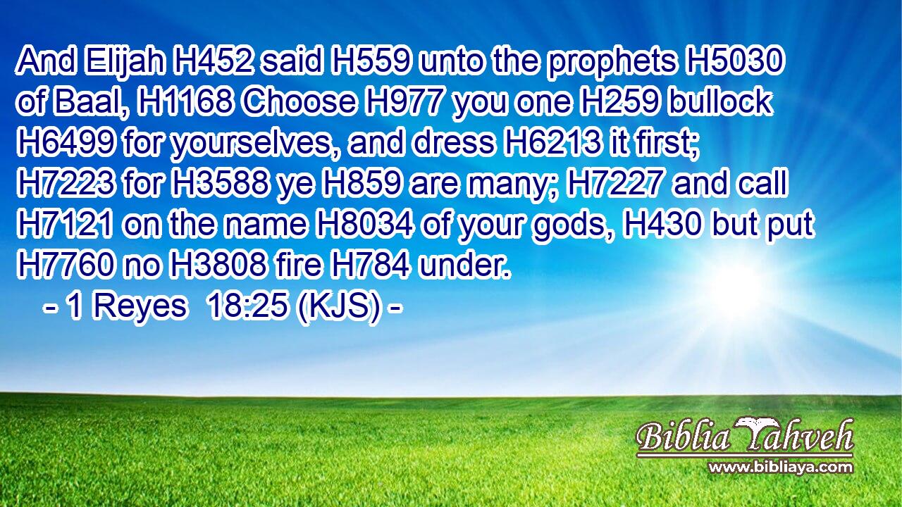And Elijah H452 said H559 unto the prophets H5030 of Baal, H1168 Choose H977 you one H259 bullock H6499 for yourselves, and dress H6213 it first; H7223 for H3588 ye H859 are many; H7227 and call H7121 on the name H8034 of your gods, H430 but put H7760 no H3808 fire H784 under.