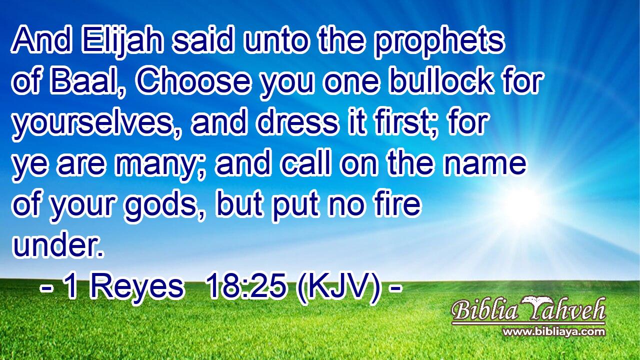 And Elijah said unto the prophets of Baal, Choose you one bullock for yourselves, and dress it first; for ye are many; and call on the name of your gods, but put no fire under.