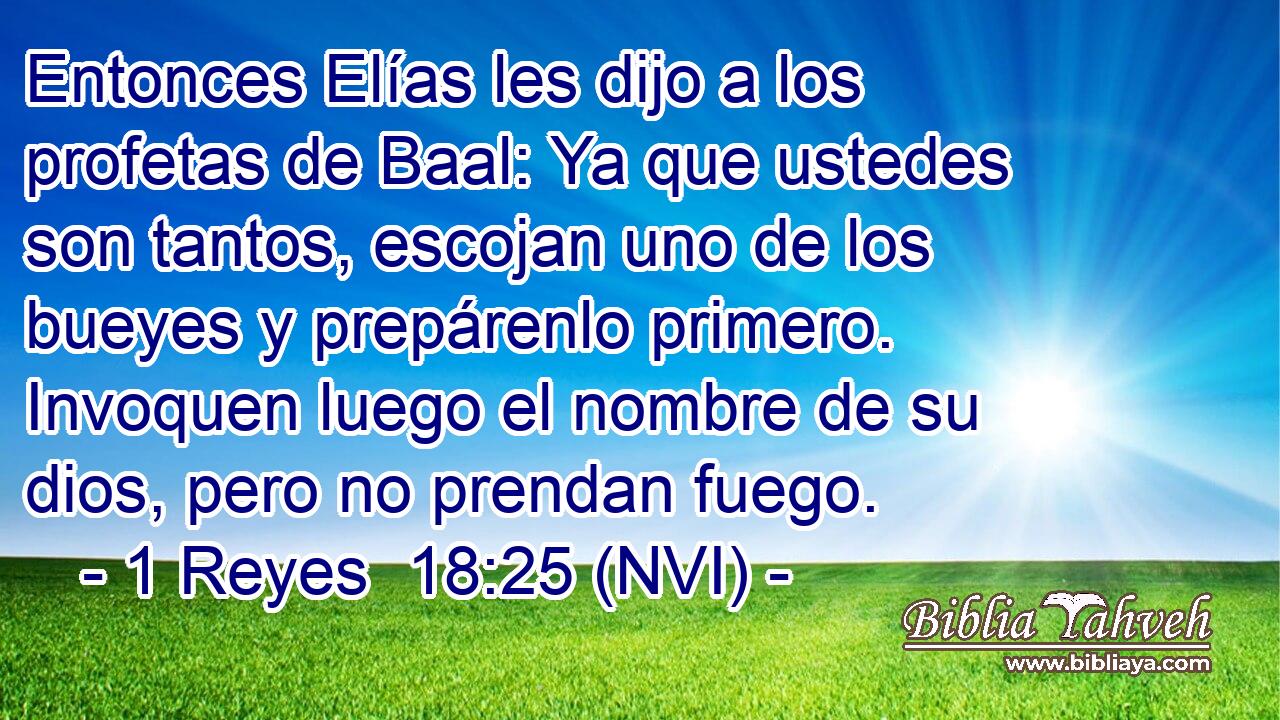  Entonces Elías les dijo a los profetas de Baal: Ya que ustedes son tantos, escojan uno de los bueyes y prepárenlo primero. Invoquen luego el nombre de su dios, pero no prendan fuego. 