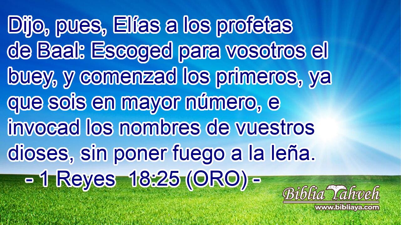  Dijo, pues, Elías a los profetas de Baal: Escoged para vosotros el buey, y comenzad los primeros, ya que sois en mayor número, e invocad los nombres de vuestros dioses, sin poner fuego a la leña. 