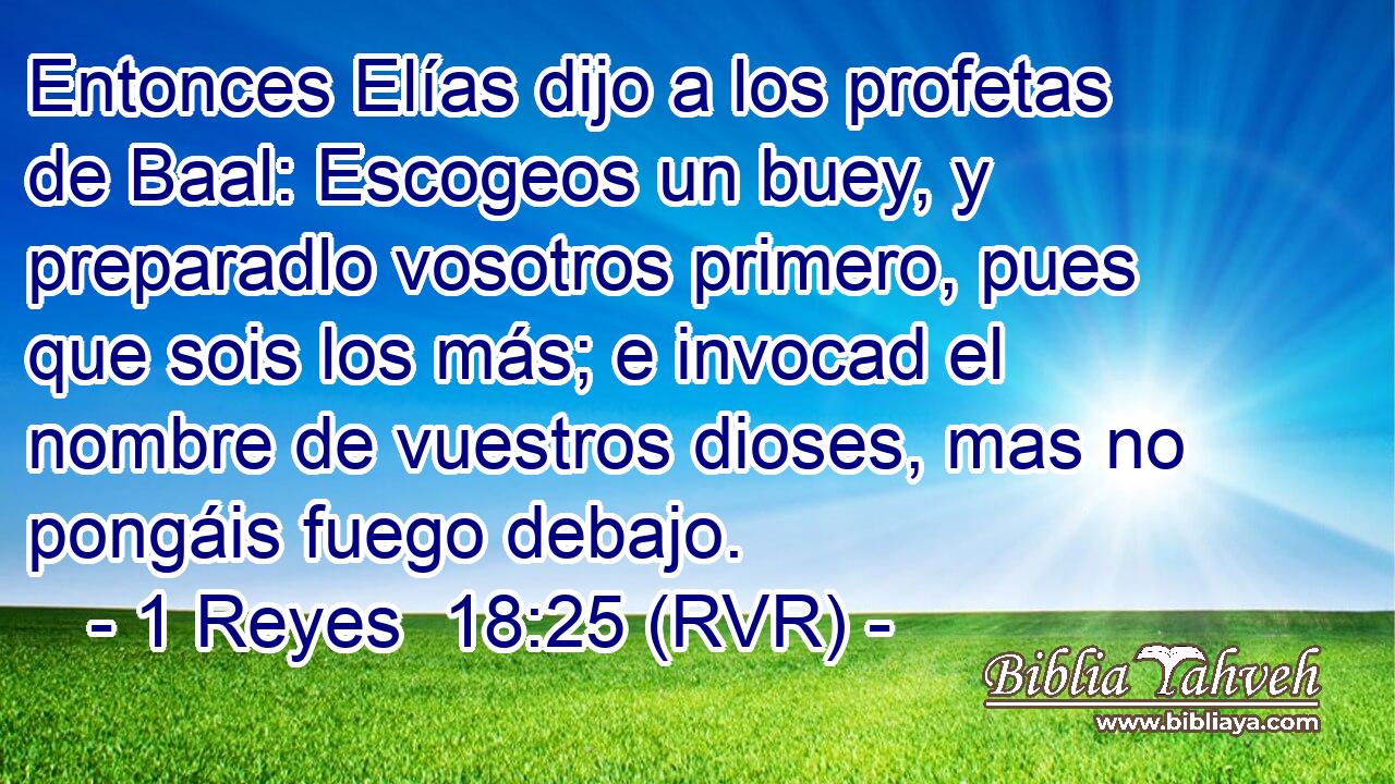 Entonces Elías dijo a los profetas de Baal: Escogeos un buey, y preparadlo vosotros primero, pues que sois los más; e invocad el nombre de vuestros dioses, mas no pongáis fuego debajo.