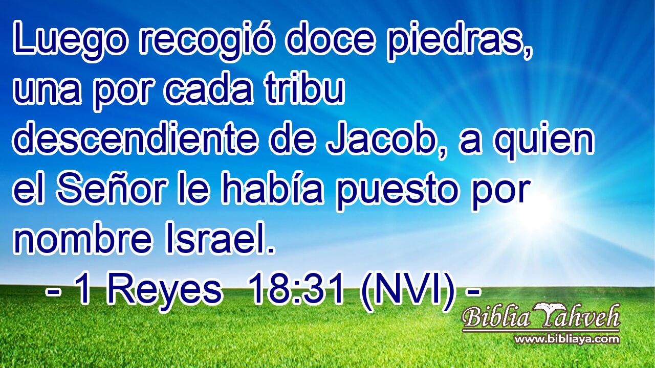  Luego recogió doce piedras, una por cada tribu descendiente de Jacob, a quien el Señor le había puesto por nombre Israel. 