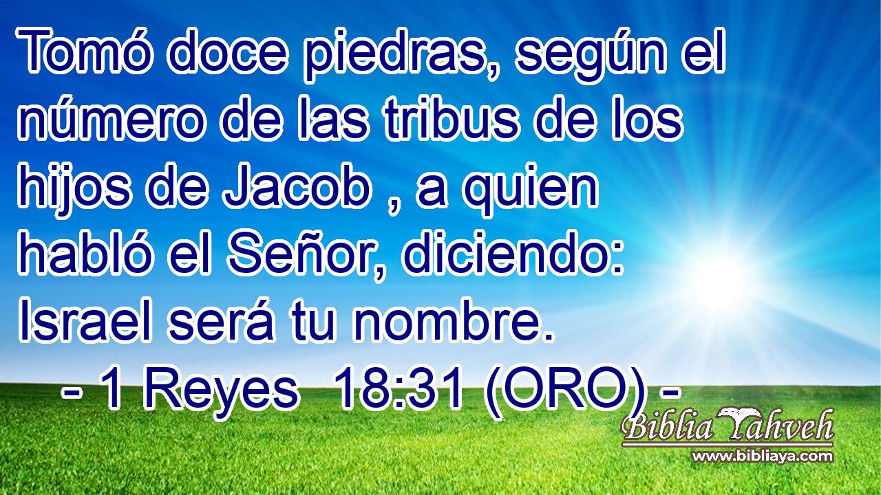  Tomó doce piedras, según el número de las tribus de los hijos de Jacob , a quien habló el Señor, diciendo: Israel será tu nombre. 