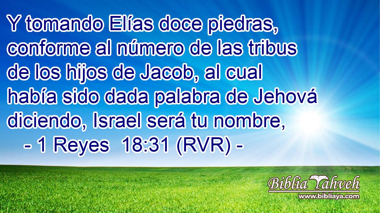 Y tomando Elías doce piedras, conforme al número de las tribus de los hijos de Jacob, al cual había sido dada palabra de Jehová diciendo, Israel será tu nombre,