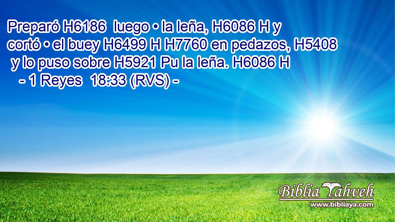 Preparó H6186  luego • la leña, H6086 H y cortó • el buey H6499 H H7760 en pedazos, H5408  y lo puso sobre H5921 Pu la leña. H6086 H 