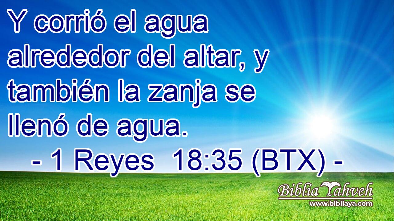 Y corrió el agua alrededor del altar, y también la zanja se llenó de agua.