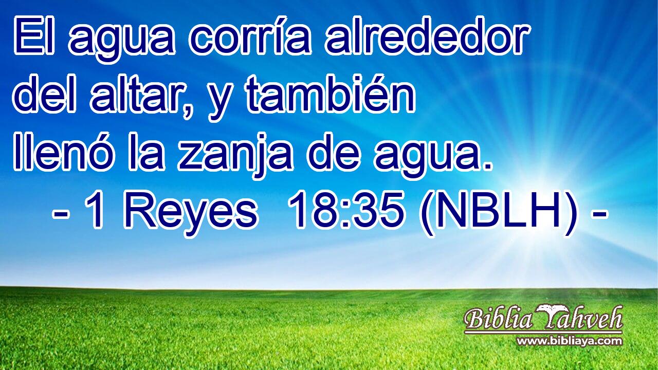  El agua corría alrededor del altar, y también llenó la zanja de agua. 