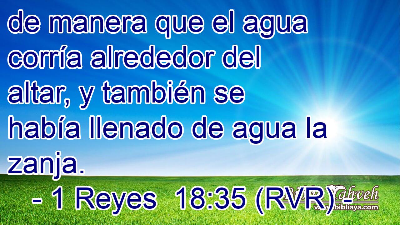 de manera que el agua corría alrededor del altar, y también se había llenado de agua la zanja.