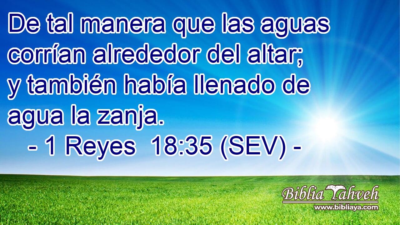 De tal manera que las aguas corrían alrededor del altar; y también había llenado de agua la zanja.