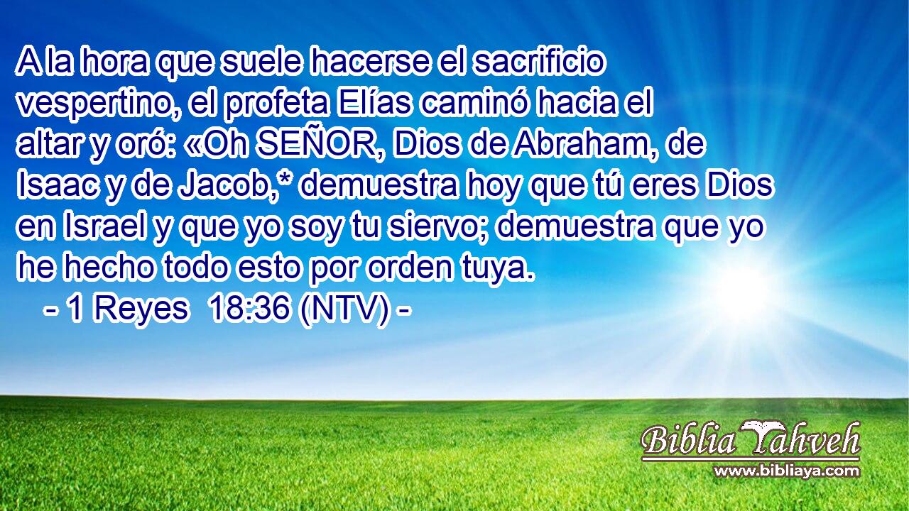 A la hora que suele hacerse el sacrificio vespertino, el profeta Elías caminó hacia el altar y oró: «Oh SEÑOR, Dios de Abraham, de Isaac y de Jacob,* demuestra hoy que tú eres Dios en Israel y que yo soy tu siervo; demuestra que yo he hecho todo esto por orden tuya.