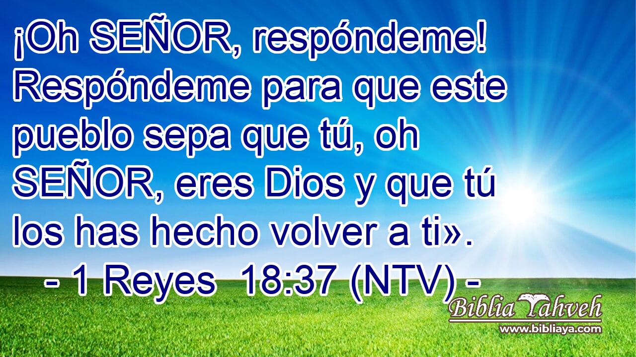 ¡Oh SEÑOR, respóndeme! Respóndeme para que este pueblo sepa que tú, oh SEÑOR, eres Dios y que tú los has hecho volver a ti».