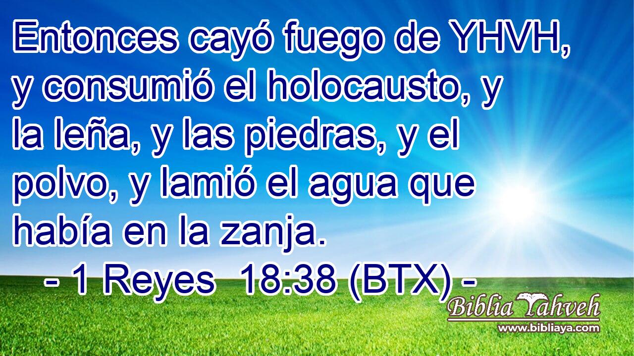 Entonces cayó fuego de YHVH, y consumió el holocausto, y la leña, y las piedras, y el polvo, y lamió el agua que había en la zanja.