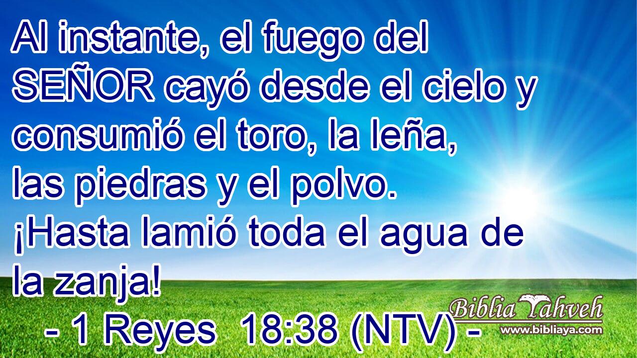 Al instante, el fuego del SEÑOR cayó desde el cielo y consumió el toro, la leña, las piedras y el polvo. ¡Hasta lamió toda el agua de la zanja!