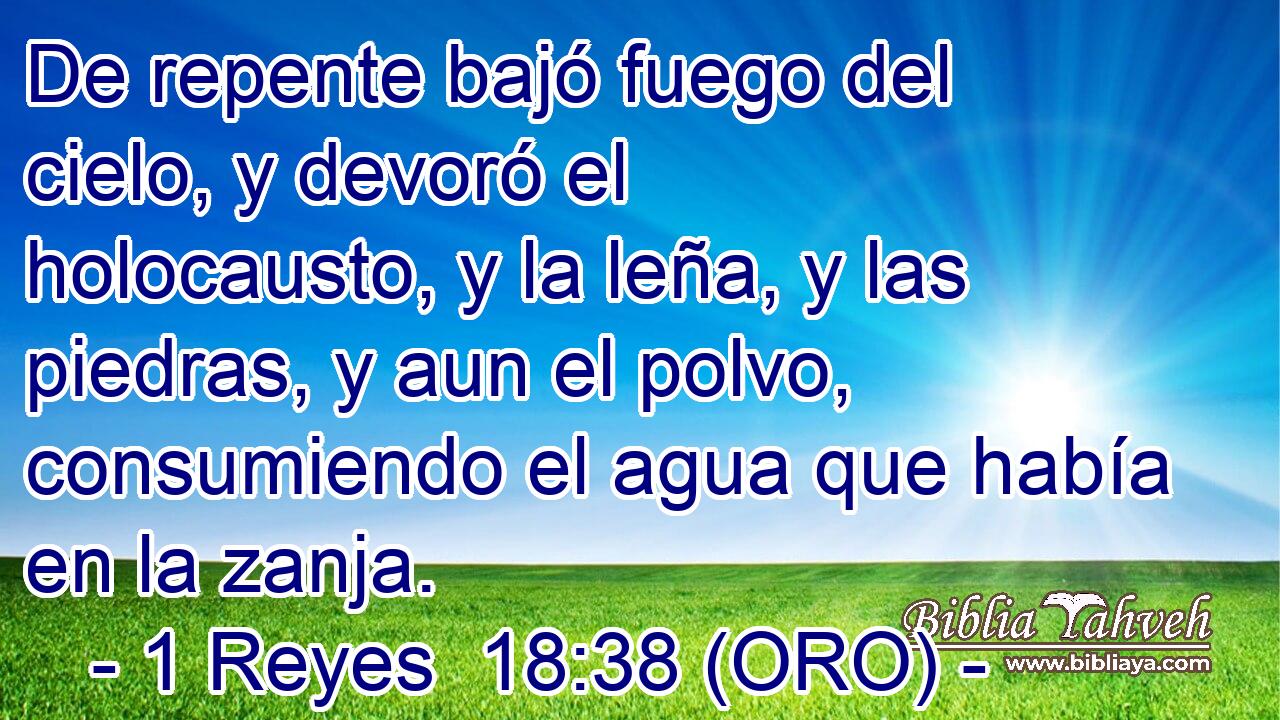  De repente bajó fuego del cielo, y devoró el holocausto, y la leña, y las piedras, y aun el polvo, consumiendo el agua que había en la zanja. 