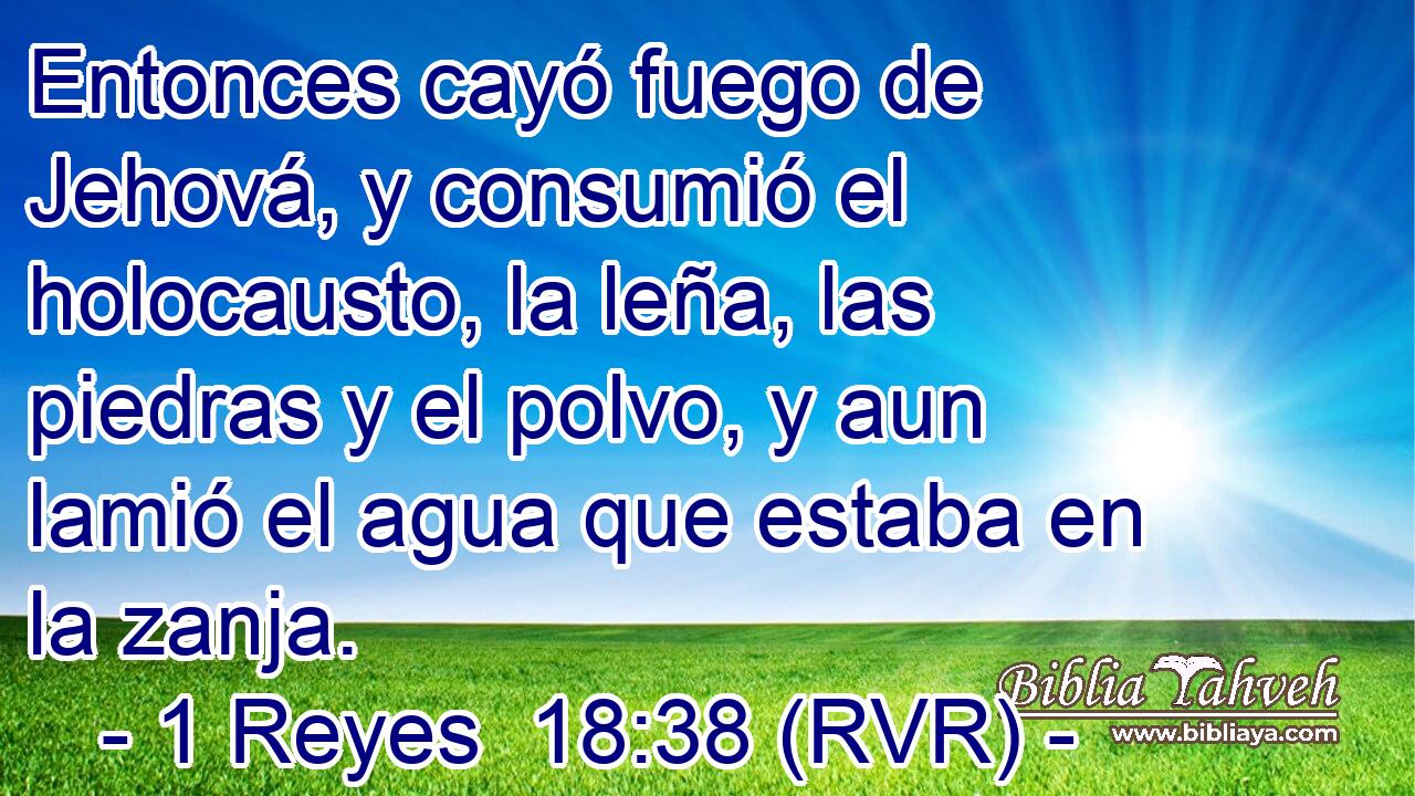 Entonces cayó fuego de Jehová, y consumió el holocausto, la leña, las piedras y el polvo, y aun lamió el agua que estaba en la zanja.